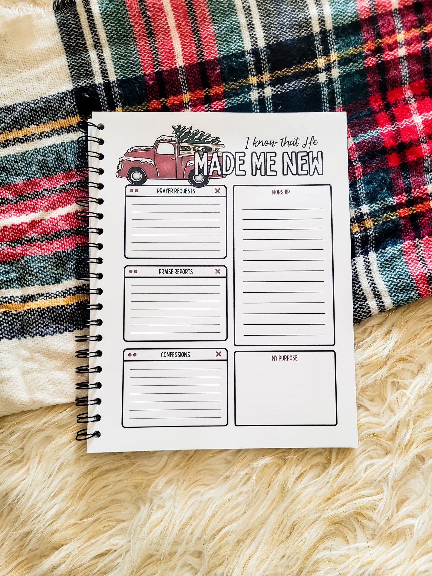 Christmas Cheer 30 Day Prayer Journal