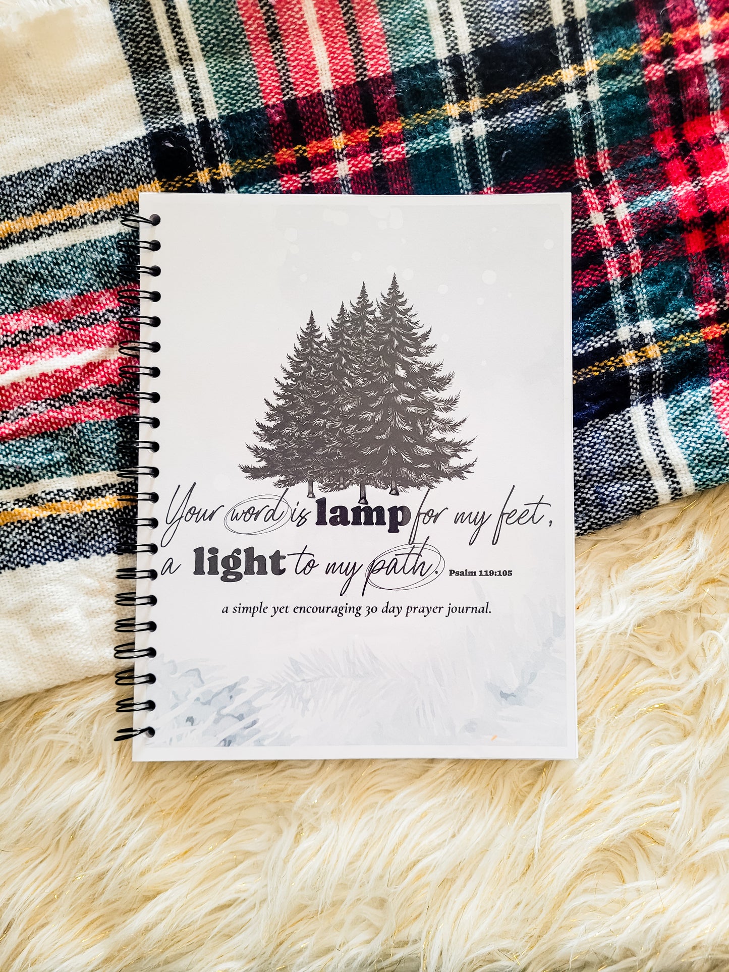 Winter Theme 30 Day Prayer Journal