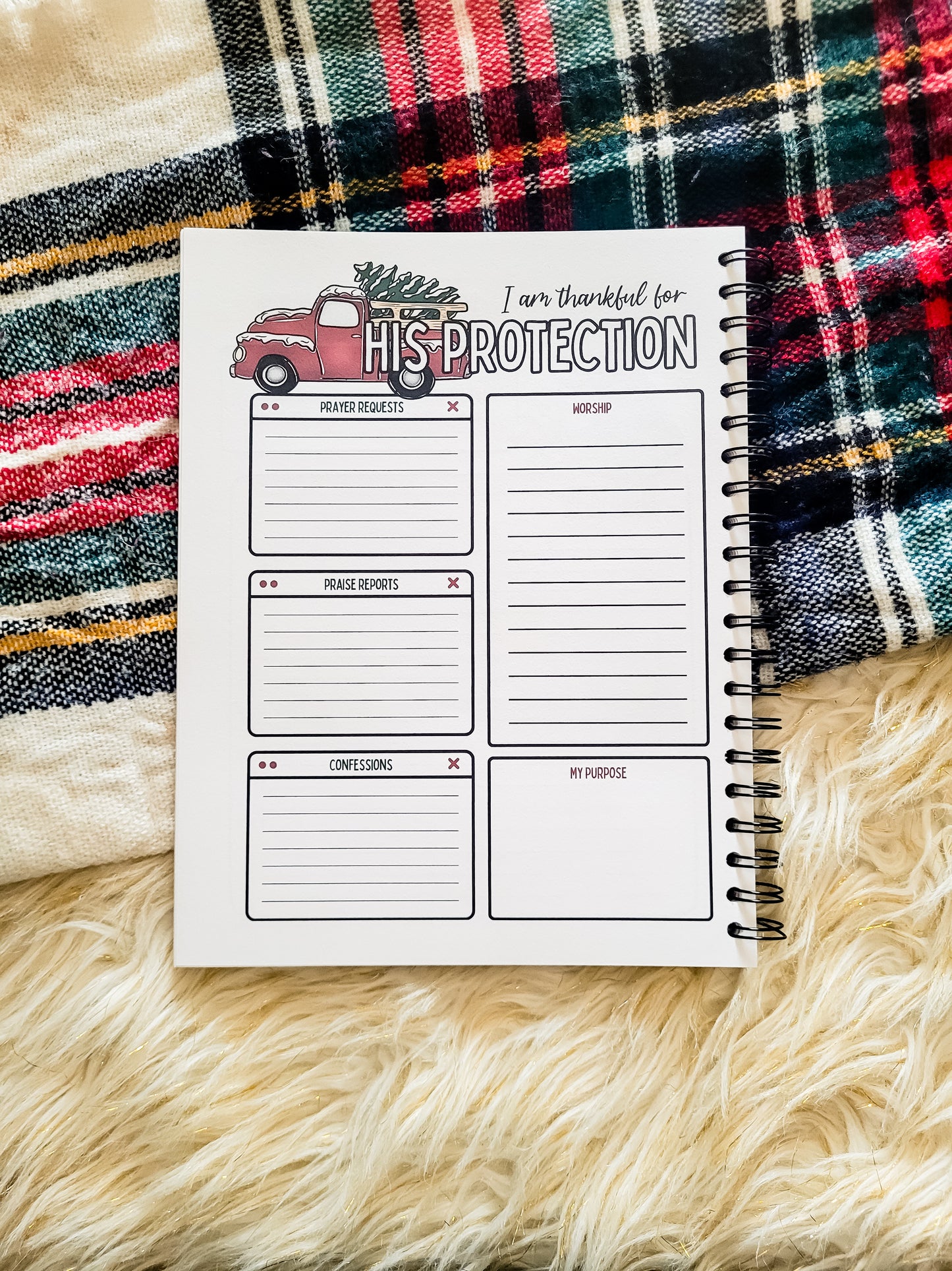 The Reason Christmas 30 Day Prayer Journal