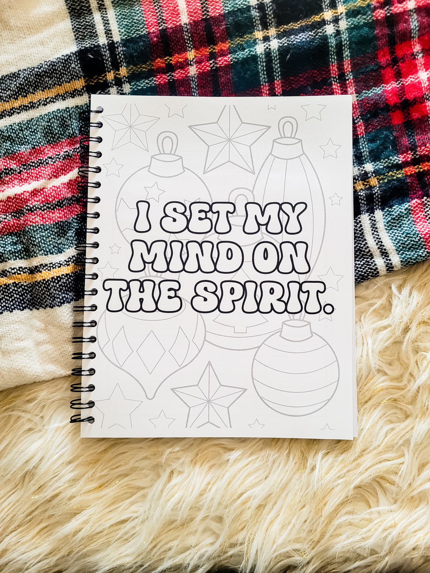 The Reason Christmas 30 Day Prayer Journal