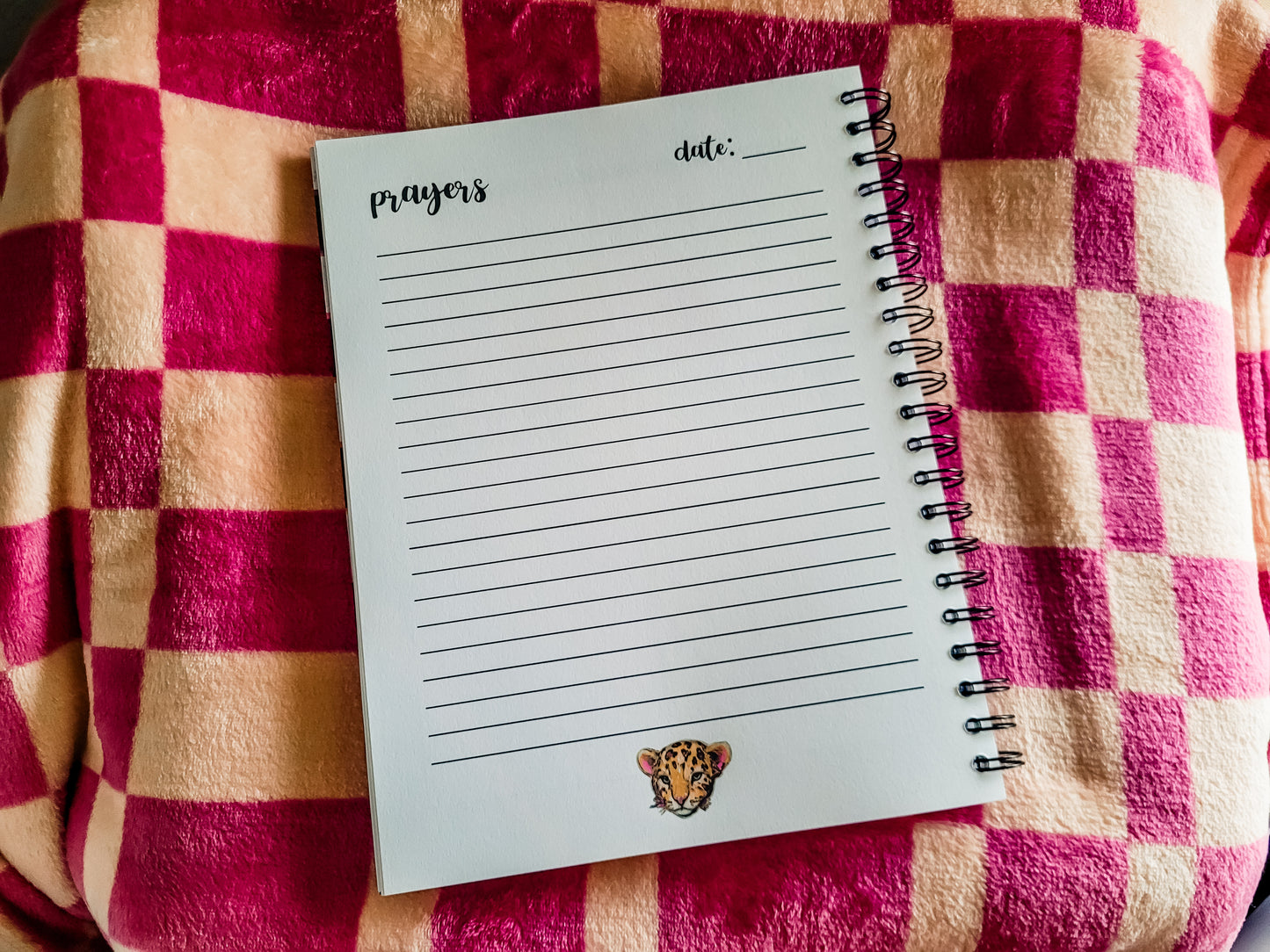 30 Day AEIOU Bible Study Log