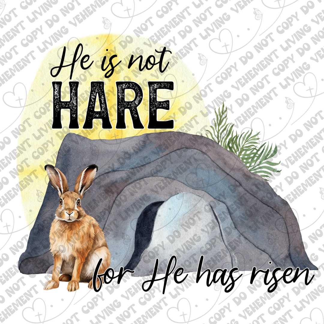 He is not Hare digital design