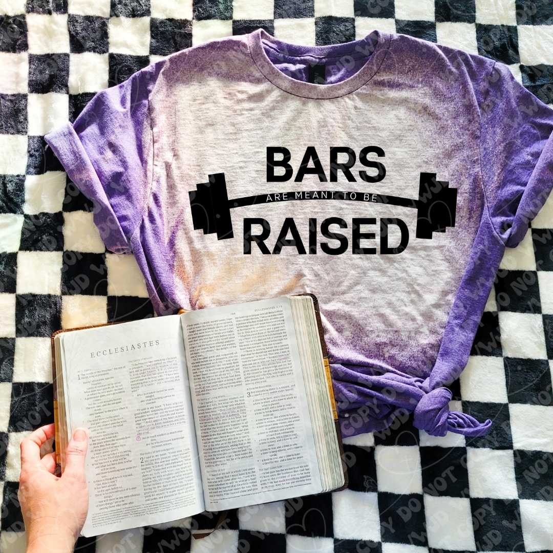 Bars Raised digital design