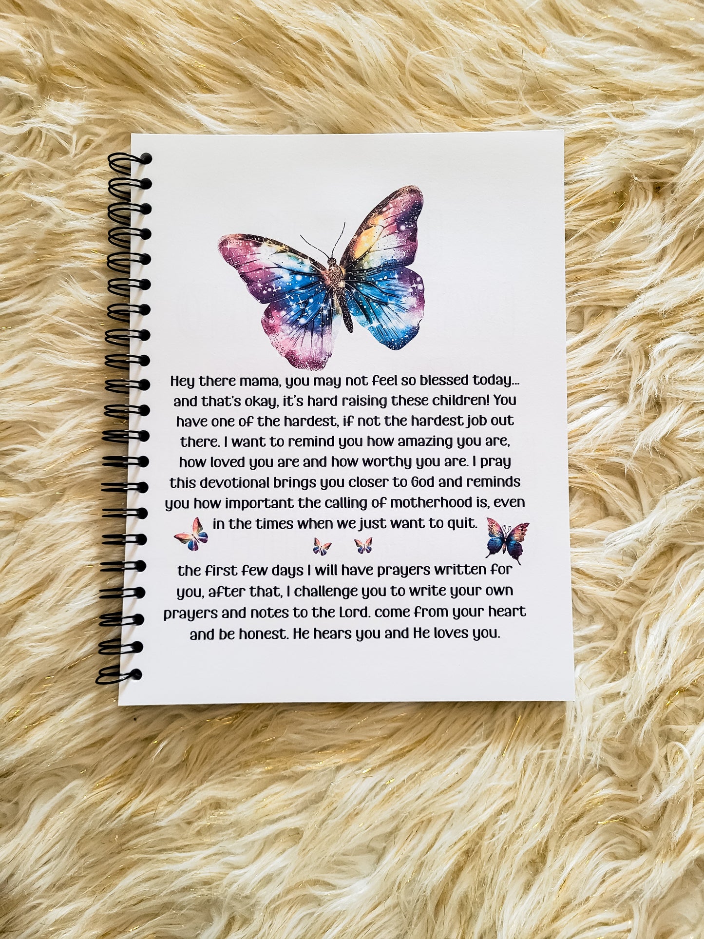 Blessed Mama 30 Day Prayer Journal