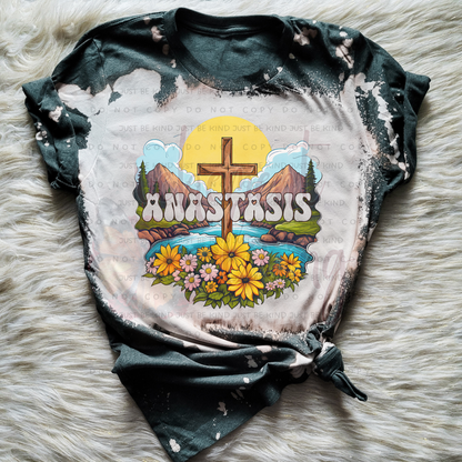 ANASTASIS BUNDLE 28 digital designs