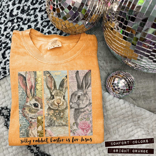 Silly Rabbit digital design