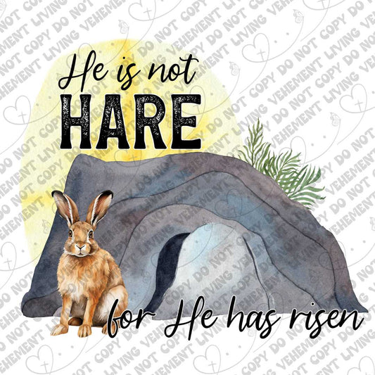 He is not Hare digital design