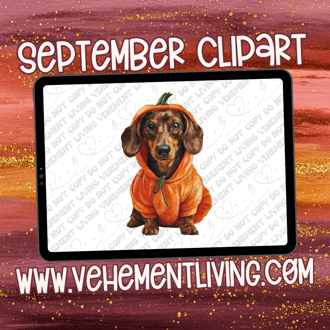 September 2025 CLIPART Drive