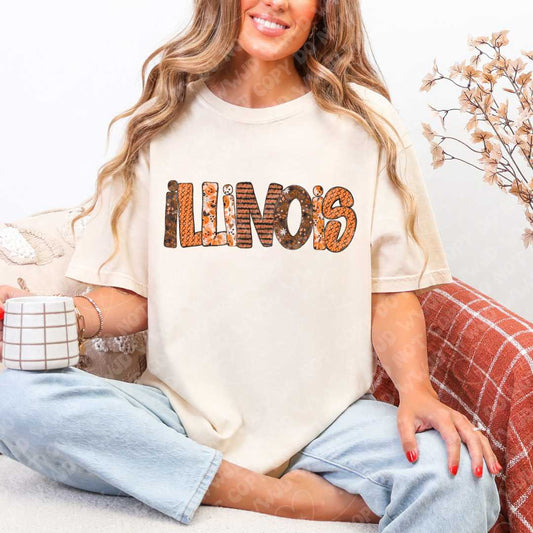 Illinois V2 Pumpkin Alpha digital design