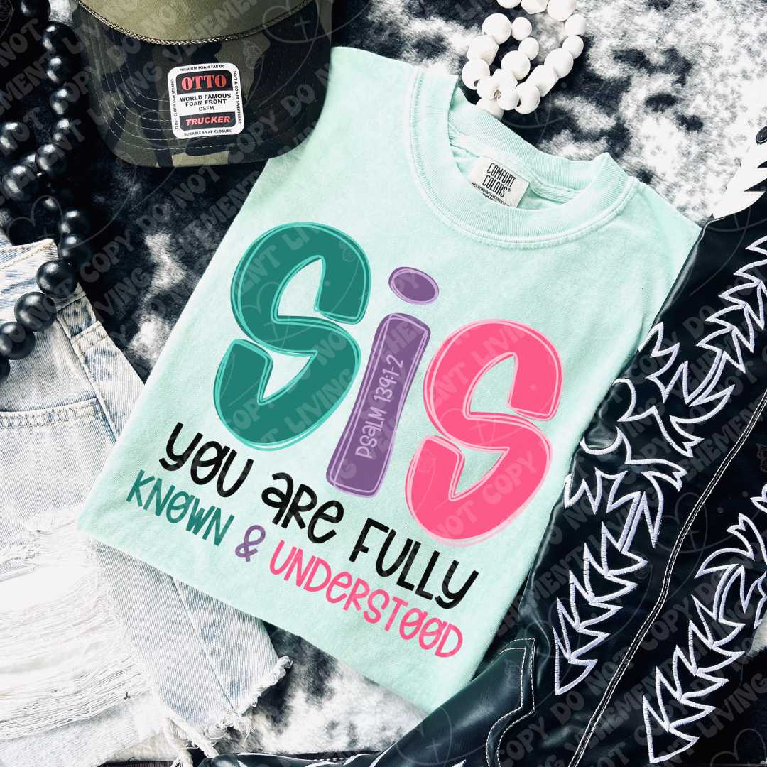 SIS Known and Understood digital design
