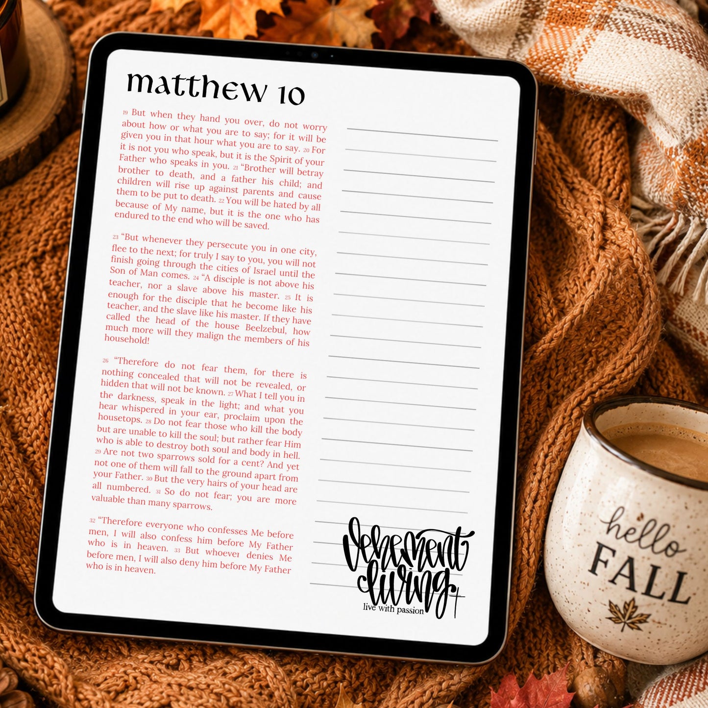 Spiral-Bound Bible | Matthew • Mark • Luke • John | Volume 1