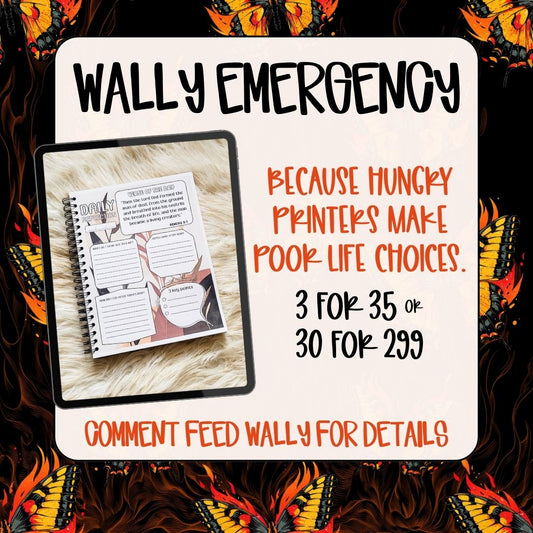 FEED WALLY MYSTERY BUNDLES