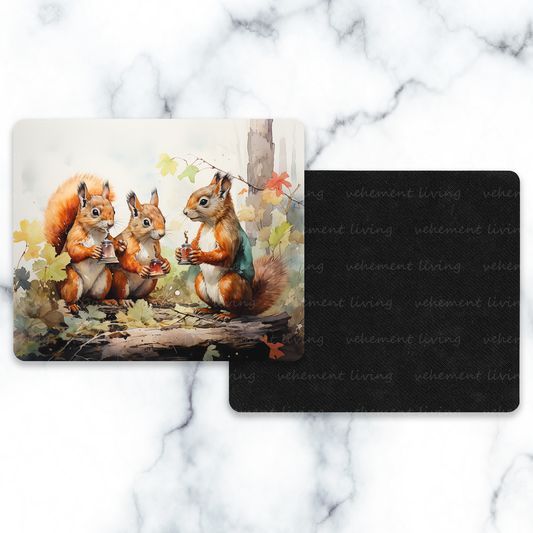 squirrels